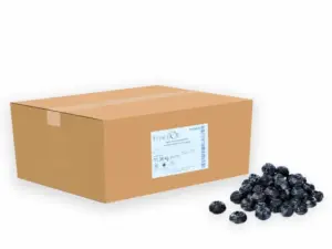 Fruit D’Or Dried Blueberries – Infused